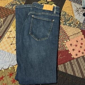 Zara Jeans. Size 10. Medium Wash Blue